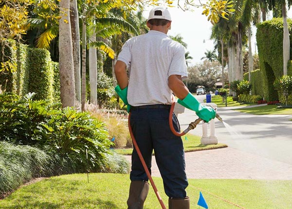About Chamberlain SD Pest Control